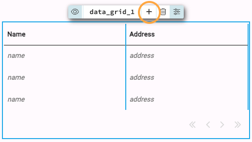 Clicking on the + icon will add
a new column to the DataGrid