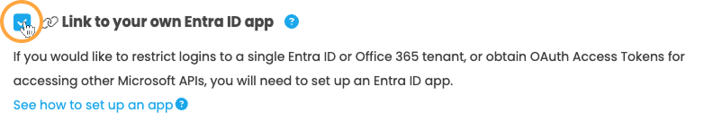 Screenshot of part of the Microsoft API tab where 'Link to your own Entra ID app' is ticked